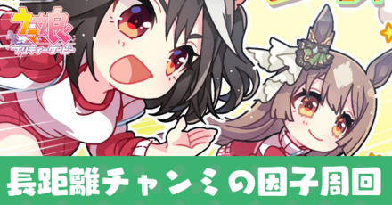 長距離チャンミ因子周回