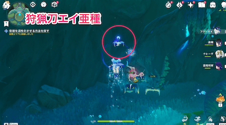 狩猟刀エイ亜種