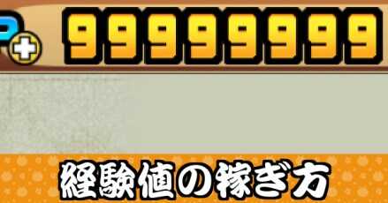 経験値(XP)の稼ぎ方
