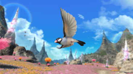 【文鳥】オーロサパ