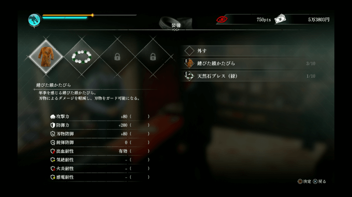 同じ防具は2個装備できない