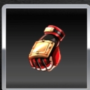 闘志のプロテクトグローブ右