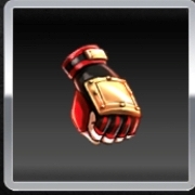 闘志のプロテクトグローブ左