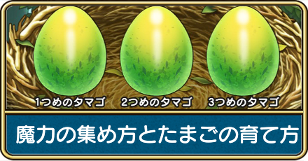魔力の集め方とたまごの育て方