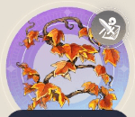 プルリエーレの画像