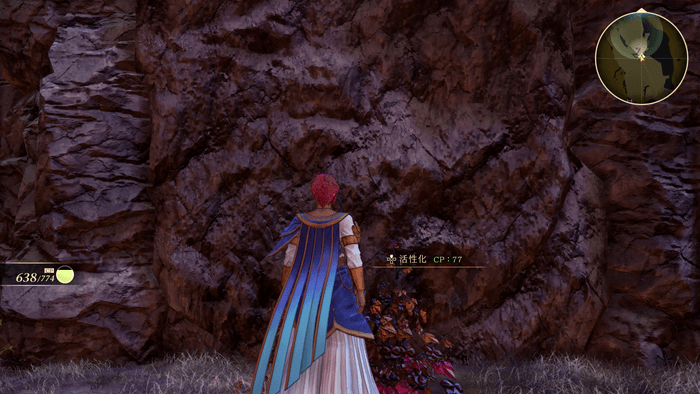 テュオハリムのCP