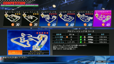 プロフェショナルカップ