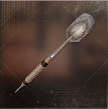 シルバーダーツ画像