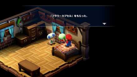 キノコ城：フラワーカプセル5画像