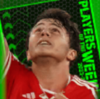 TPジョアン・ネヴィス(11/16)の画像