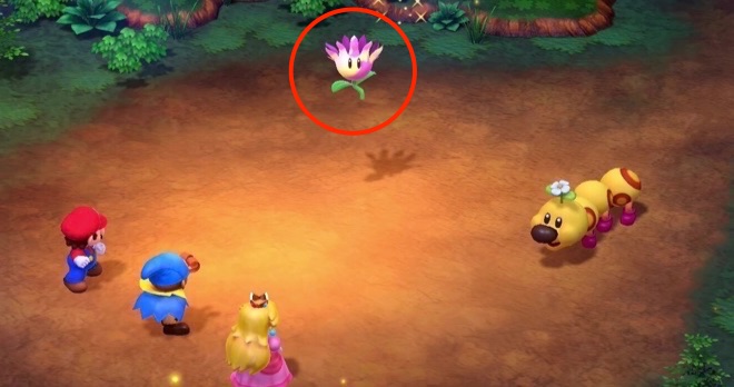 ラッキーフラワー