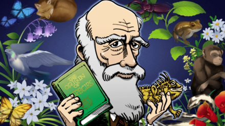 ダーウィンの画像