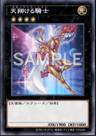 天翔ける騎士画像