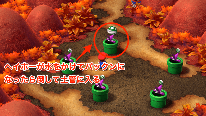 一番奥の土管のパックンを倒して土管に入る