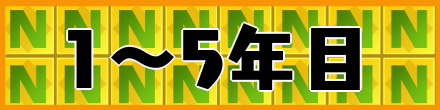 1〜5年目のNカード