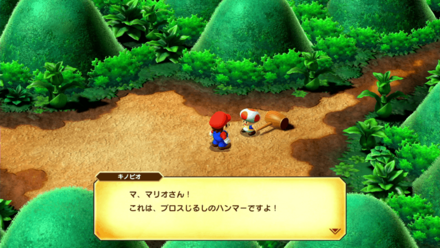 マッシュロードのハンマーブロスを倒すと入手