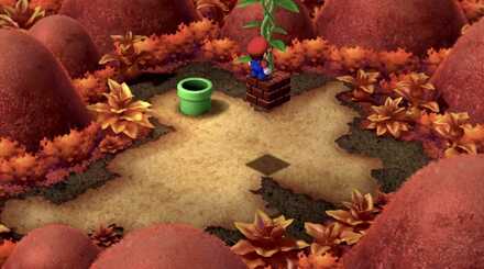 ビーンズバレー奥の大きなツタの根本