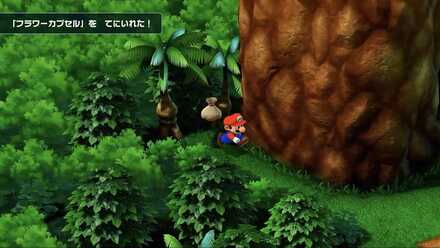 カントリーロード1：フラワーカプセル画像