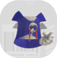 ホホジロノハゴロモ画像