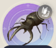 オオオニカブトの画像