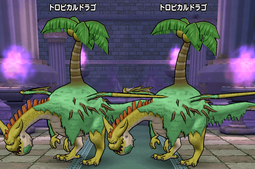 トロピカルドラゴのほこらの基本情報