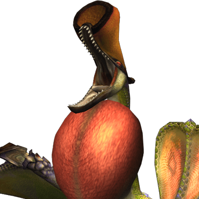 クルペッコ画像