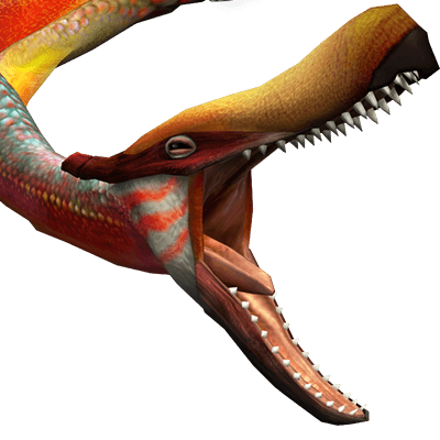 クルペッコ亜種画像