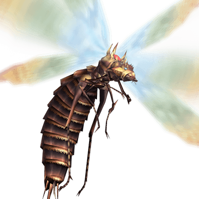 クイーンランゴスタ画像