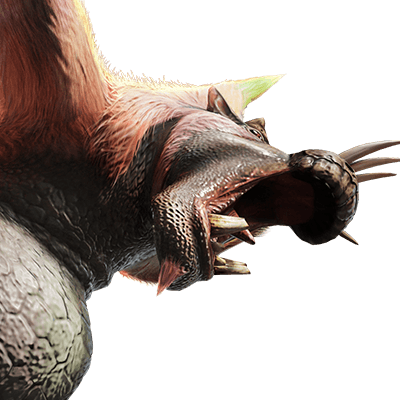 ババコンガ画像