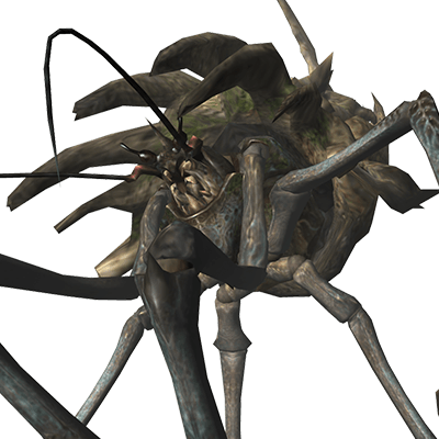 シェンガオレン画像