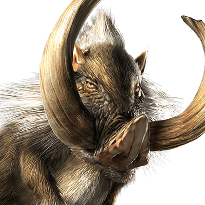 ドスファンゴ画像