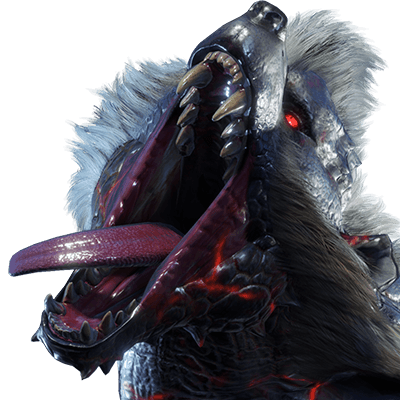 ヌシアオアシラ画像