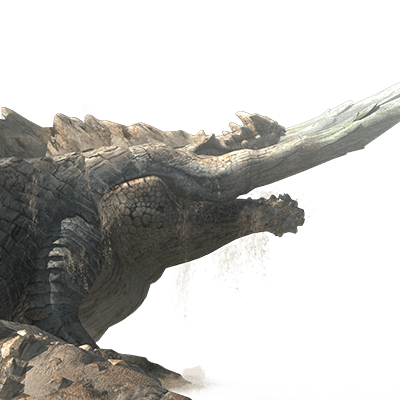 ジエンモーラン画像