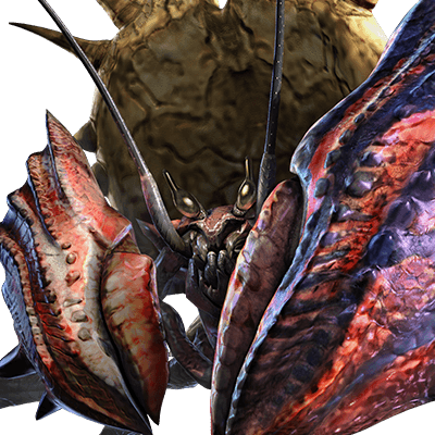 矛砕ダイミョウザザミ画像