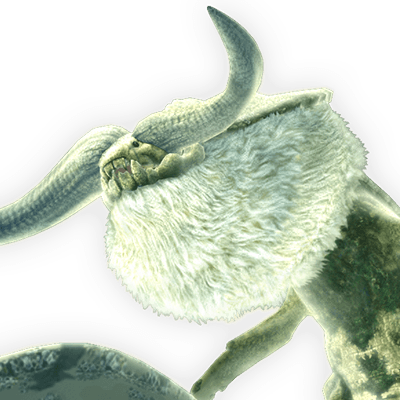 ナバルデウス画像