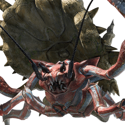 ダイミョウザザミ画像