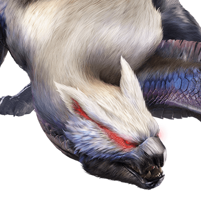 ナルガクルガ希少種画像