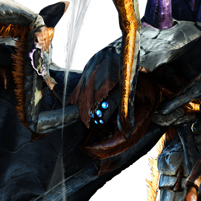 ネルスキュラ画像