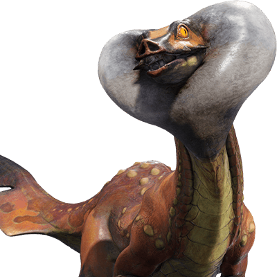 ドスフロギィ画像