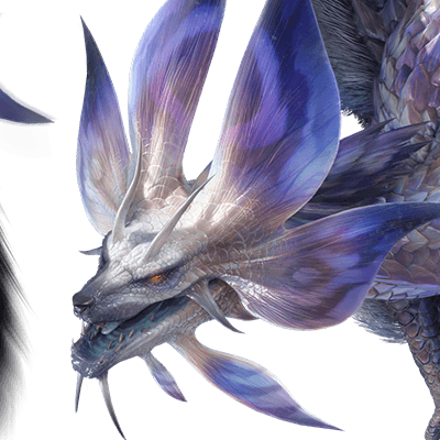 タマミツネ希少種画像