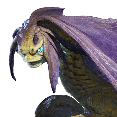 イソネミクニ画像