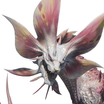 タマミツネ画像