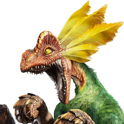 ドスマッカォ画像