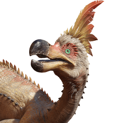 クルルヤック画像