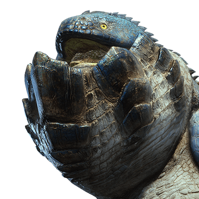 ドドガマル画像