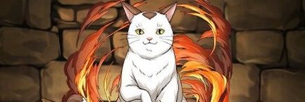 【10773】ニャーコ