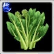 あすっこの画像