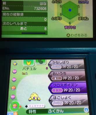 コメント画像