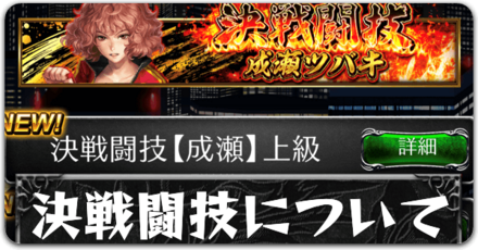 決戦闘技についてボタン