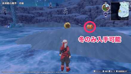 西側の凍った海を渡った先（冬限定）のちいさなメダルの場所